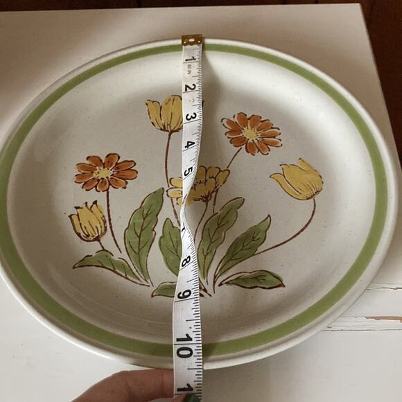 Vintage Country Casual “Sunnyvale” Dinner Plates, Set of 2 - Picture 10 of 10
